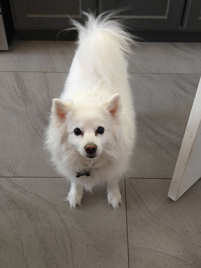 Fasteners organized in labeled bags